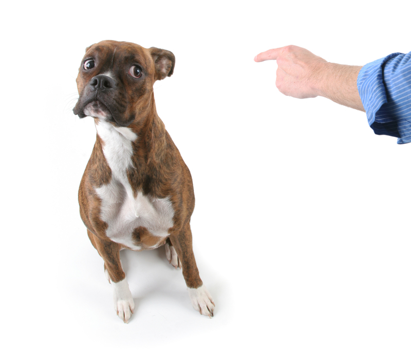 waste collection Home