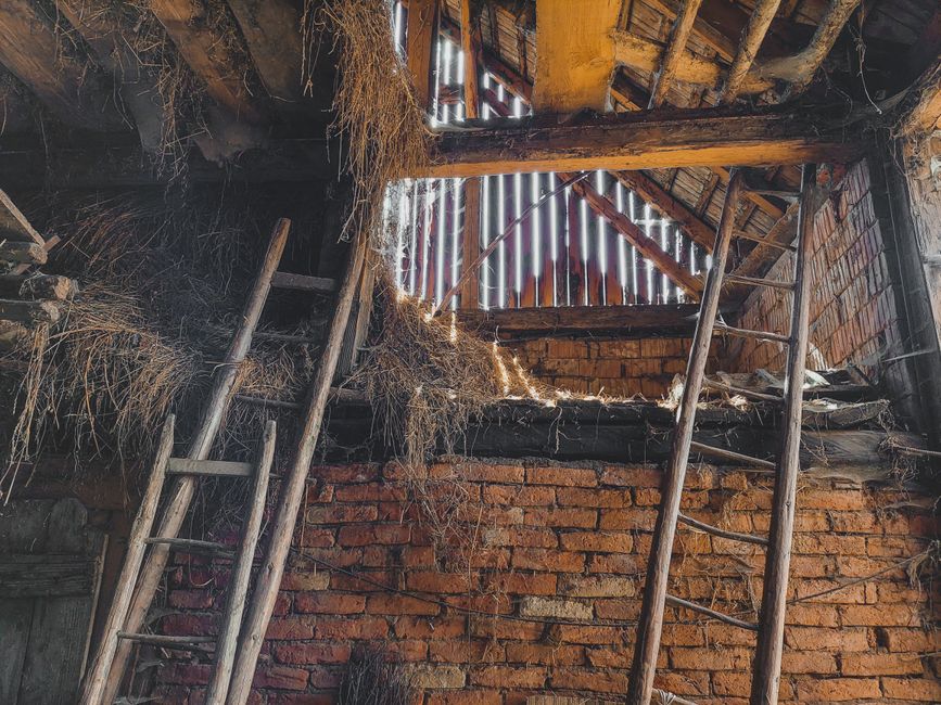 Step by step loft and attic clear out guide for homeowners